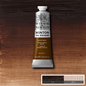 WINSOR & NEWTON WINTON OIL COLOUR 37ML - BURNT UMBER