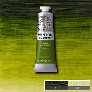 WINSOR & NEWTON WINTON OIL COLOUR 37ML - SAP GREEN